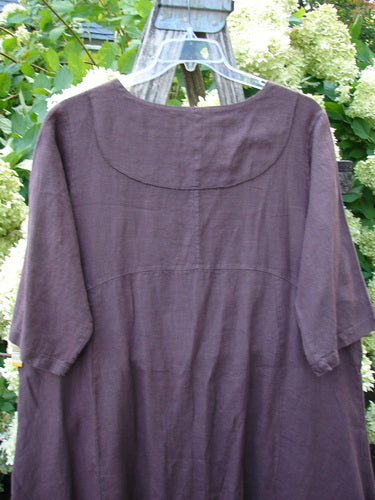 Barclay NWT Linen Cross Over Incense Dress in fig, size 0, with a structural diamond floral silhouette and a soft linen texture. The dress hangs on a clear hanger, showing a rounded cross-over neckline, short sleeves, and a loose, draped shape in muted purple-brown.