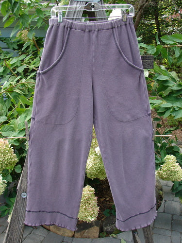 2000 Thermal Pathway Pant Unpainted Eggplant Size 1 hanging on a clothesline, featuring a replaced elastic waistband, two front cargo pockets, and double-paneled lower cuffs with contrasting stitching.