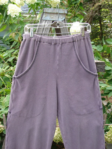 2000 Thermal Pathway Pant Unpainted Eggplant Size 1, featuring two front cargo pockets, replaced elastic waistband, and double-paneled lower cuffs with contrasting stitchery. Pants displayed on a hanger.