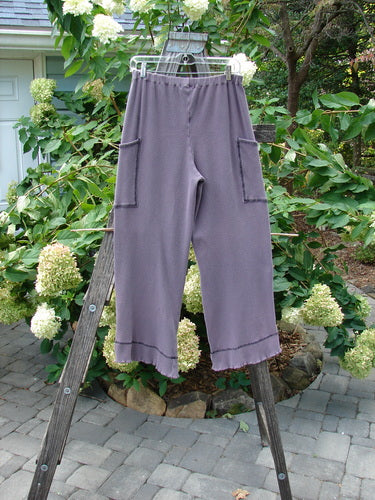 2000 Thermal Pathway Pant Unpainted Eggplant Size 1 displayed on a wooden ladder, showcasing two front cargo pockets, replaced elastic waistband, and double-paneled lower cuffs with contrasting stitching.