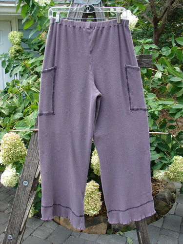 2000 Thermal Pathway Pant Unpainted Eggplant Size 1, displayed hanging on a clothesline, showcasing its elastic waistband, two front cargo pockets, double-paneled lower cuff with lettuce edge stitching.