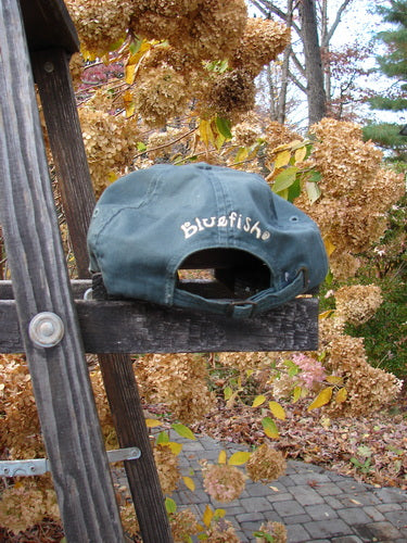 The 1999 Patched Men's Baseball Cap Goldfish Blue Fish Logo Hunter Teal OSFA is shown resting on a weathered ladder, highlighting its adjustable tan strap, embroidered logo, and autumn setting with hydrangea blooms.