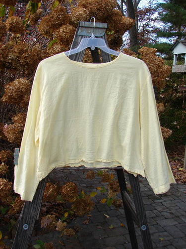 1999 PMU Batiste Boxy Top Unpainted Buttercup Size 2: Long-sleeved shirt on a swinger, featuring a wider boxy shape and billowy sleeves. Made from breathable cotton batiste.
