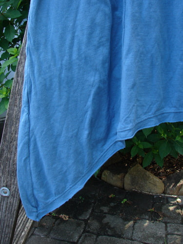 Barclay NWT Wildflower Tunic Garden Blend Blue Bird Size 0, showcasing raw-edged front panel, dippy sides, flutter hemline, scooped neckline, rolled seams, drop pockets, and three-quarter sleeves with lettuce edges.