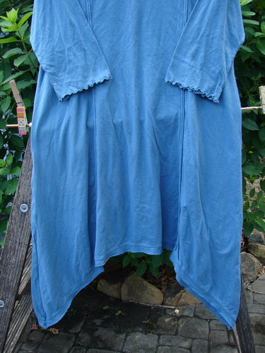 Barclay NWT Wildflower Tunic Garden Blend Blue Bird Size 0 displayed on a clothesline, showcasing its unique A-line shape, flutter hemline, and exterior drop front pockets, reflecting Bluefishfinder.com's vintage style.