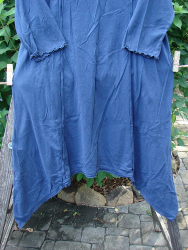 Barclay NWT Wildflower Tunic Star Pathway Dark Sky Size 0 displayed outdoors, showcasing its raw-edged front panel, dippy sides, flutter hemline, and exterior drop front pockets, embodying Bluefishfinder.com's unique vintage style.