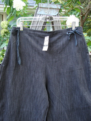 Barclay NWT Perspective Pant Unpainted Black Striation Size 1 displayed on a clothes rack, featuring a full back elastic waistline, side ties, rear pocket, and wide legs with a slightly cropped length.