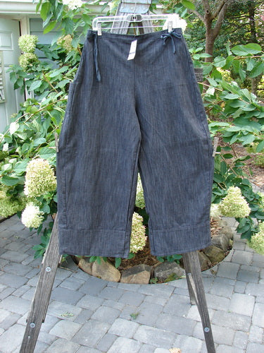 Barclay NWT Perspective Pant Unpainted Black Striation Size 1 displayed on a wooden stand, featuring a full back elastic waistline, side ties, a rear pocket, wide legs, and a slightly cropped length.