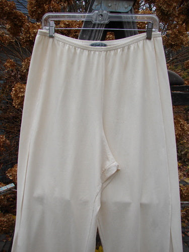 Barclay Cotton Lycra Triangle Pant hanging on clothesline
