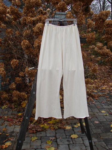 Barclay Cotton Lycra Triangle Pant on rack, size 2 ai