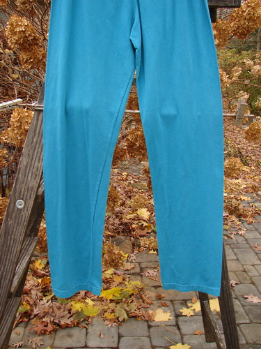 A pair of Barclay NWT Cotton Lycra relaxed leggings in dusty aqua, size 2, hanging on a rack.