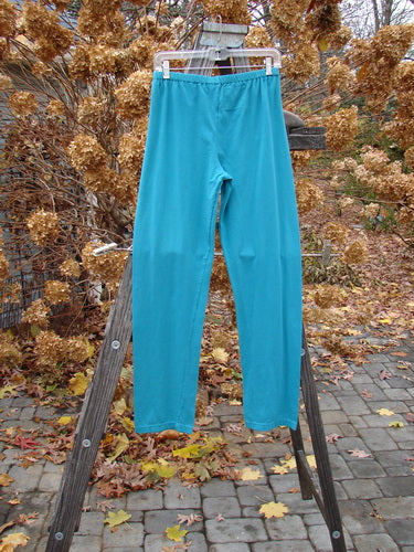 Barclay NWT relaxed legging with hole, on a rack and wooden ladder. Size 2. Vintage Blue Fish Clothing.