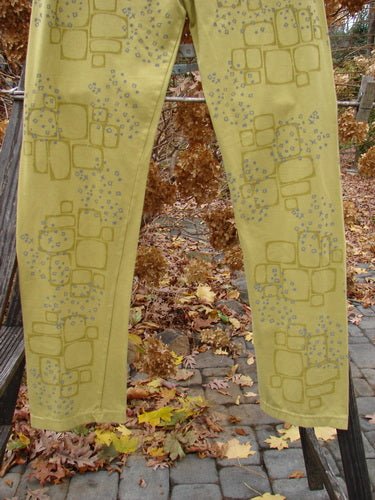A pair of Barclay NWT Cotton Lycra relaxed leggings with a star path pattern, size 2, on a rack.