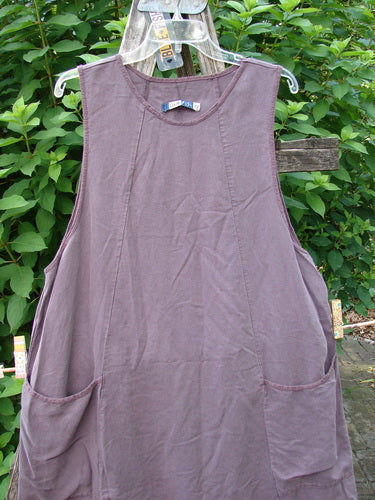 Barclay NWT Lyocell Joyous Jumper Unpainted Fig Size 0: Close-up of a swinging purple dress featuring deep arm openings, double drop front pockets, and a single hem drawcord, embodying Bluefishfinder's unique vintage style.