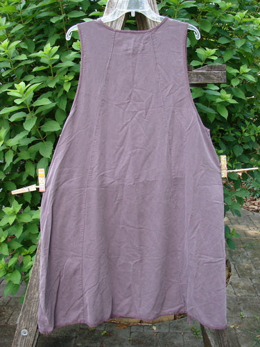 Barclay NWT Lyocell Joyous Jumper Unpainted Fig Size 0 featuring widening vertical seams, double drop front pockets, a shallow neckline, and deep arm openings, displayed on a clothesline.