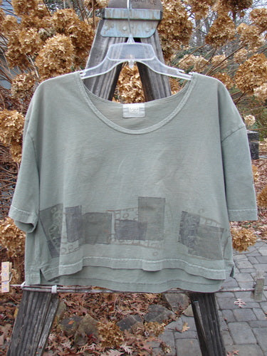 2000 City Side Crop Tee Top Block Park Size 0: A green shirt on a swinger, featuring a wide swingy shape and softly rolled neckline.