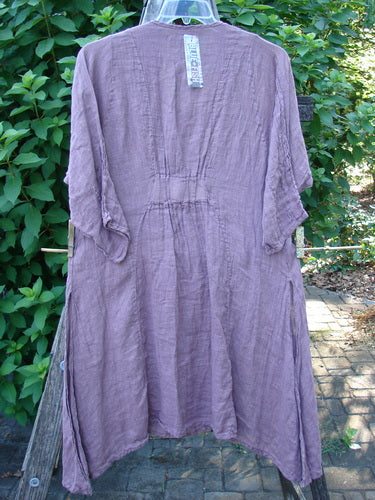 Barclay NWT Linen Venetian Dress Fern Field Tulsi Rose Size 0 features an oval neckline, pinched three-quarter sleeves, and curvy panels, displayed on a clothesline showcasing its elegant design.