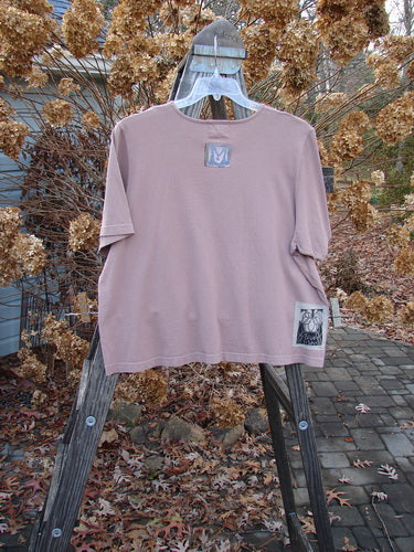 2000 Short Sleeved Crop Tee with a pink shirt on a swinger, wooden rack, and logo. Features a diamond window theme paint and a shallow neckline. Bust 52, waist 52, hips 54, length 23.