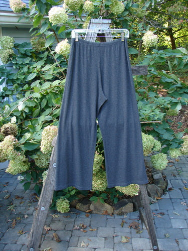 2000 Rayon Lycra Rib Crossroad Road Flare Duo Unpainted Charcoal Heather Size 2 pants displayed on a clothes rack, showcasing a full elastic waistline and slightly flared bottom.