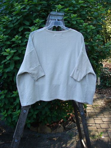 Barclay Hemp Cotton Banded Sleeve Colors Sweatshirt on wooden ladder, showcasing its wide boxy shape, rounded neckline, dolman sleeves, and textured side panels, highlighting the garment's cozy, fall-appropriate design.