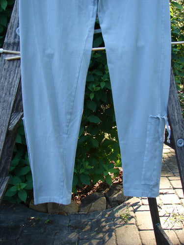 Barclay Cotton Lycra Side Gather Legging Unpainted Grey Grass Size 1 hanging on a clothesline, showcasing its full elastic waistband and tapering lowers with exterior drawcords, highlighting the legging's elegant design.
