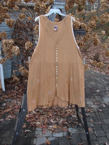 1998 Gauze Shell Vest Angel Wing Cork Size 2: A brown vest on a clothes rack, featuring tiny shell buttons, hand-dyed silk ribbon edges, and a rounded hemline. Perfect condition.