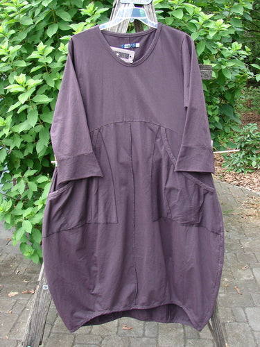 Barclay NWT Cotton Lycra Bell Urchin Pocket Dress Unpainted Dulse Size 0, displayed hanging on a rack, showcases a graceful silhouette with bell sleeves, highlighting its Heavy Weight Touch of Lycra fabric.