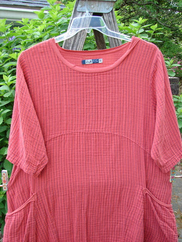 Barclay Gauze Two Pocket Urchin Dress Unpainted Geranium Stripe Size 0 features a unique flutter neckline, three-quarter sleeves, sectional panels, and wrap drop pockets, embodying Bluefishfinder.com's vintage, creative style.