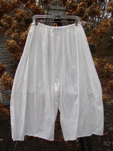 A pair of Barclay Batiste Crop Segment Pants in white, size 2, hanging on a clothesline. These pants have a replaced elastic waistline and feature sectional vertical dimensional panels. They are perfect for layering in the spring or summer.