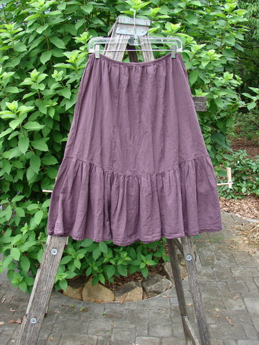 Barclay NWT Batiste Mid Layer Gather Ruffle Skirt Unpainted Fig Size 0 displayed on a wooden ladder, showcasing its elegant layered ruffles that reflect vintage Blue Fish Clothing's creative and expressive style.