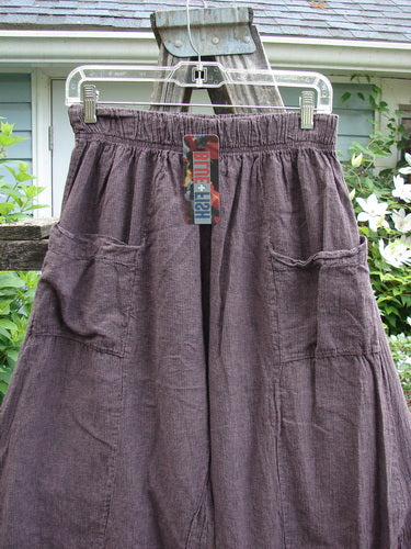 Barclay NWT Two Pocket Klee Pant Unpainted Stripe Fig Size 0 features a full elastic waist, dual top pockets, longer inseam, shorter rise, and slightly flared lowers, embodying Bluefishfinder's creative vintage style.