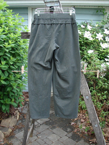 Barclay NWT Organic Cotton Lycra Playground Pant in Unpainted Grey Boreal, Size 0, features a thick elastic waist, longer inseam, slimmer legs, and unique stitchery, embodying BlueFishFinder's vintage aesthetic.