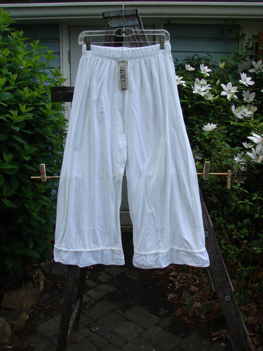 Barclay NWT Lightweight Nepenthe Pant Unpainted White Size 0 features a full elastic waist, unique flutter hem, and rolled raw panels, showcasing vintage Blue Fish style in organic cotton.