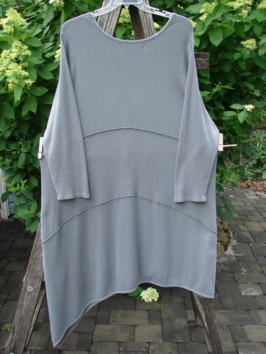 Barclay Thermal Exterior Stitch Three Tier Dress Forest Friend Grey Day Size 2: A loose-fitting, long-sleeved tunic with an asymmetrical hem and subtle tiered seams, displayed against a green, leafy backdrop.