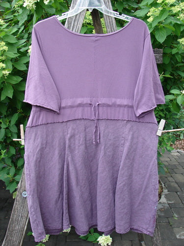 Barclay Linen Cotton Two Pocket Tie Back Square Dress Bloom Burst Plum Size 1 displayed on a hanger, showing its loose fit, short sleeves, dropped waist seam, and front tie detail against greenery.