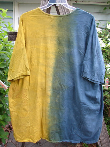 Barclay Tournesol Tunic Harmonic Hillside Mottled Dawn OSFA features a tunic style with drop shoulders, loose three-quarter sleeves, and a unique varying hemline, embodying creative expression from Bluefishfinder.com.