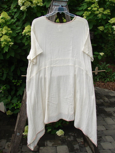1998 Gauze Over Dress Silk Ribbon Unpainted Chalk Size 2 displayed on a hanger, showcasing its loose fit, short sleeves, uneven hem, and distinctive hand-dyed silk ribbon edging against a garden backdrop.