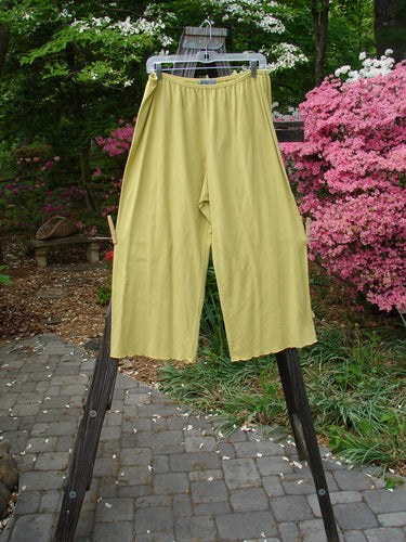 Barclay Crop Tiny Tab Pant in Sunshine, Size 2: A pair of pants on a clothes rack, with a full elastic waistband, lettuce-edged swinging lowers, and a soft, forgiving feel. Perfect condition, made from medium weight cotton lycra.