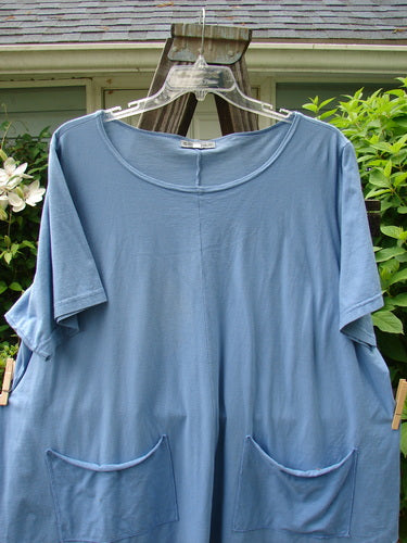 Image alt text: Barclay Double Pocket Twinkle Top Unpainted Sky Size 2 - A blue shirt with a banded bottom and scalloped hemline, featuring lower exterior pockets and a full bottom swing.