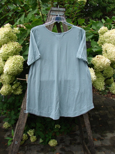 Barclay NWT Seedling Top Dandelion Early Blue Sky Size 1 hangs on a clear hanger outdoors, showcasing its rounded banded bottom, feminine neckline, scalloped hemline, and playful lower pockets.