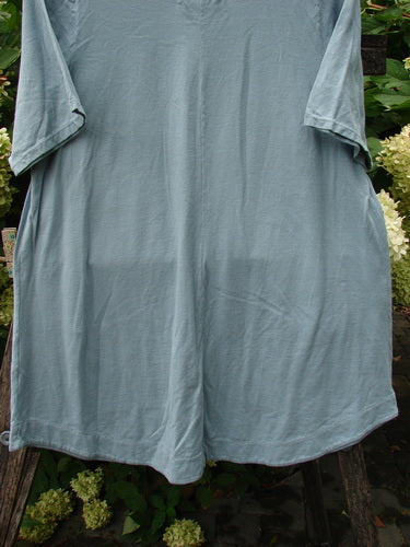 Barclay NWT Seedling Top Dandelion Early Blue Sky Size 1 displayed on a wooden stand, showcasing its A-line shape, feminine neckline, scalloped hem, and lower pockets, surrounded by green foliage.