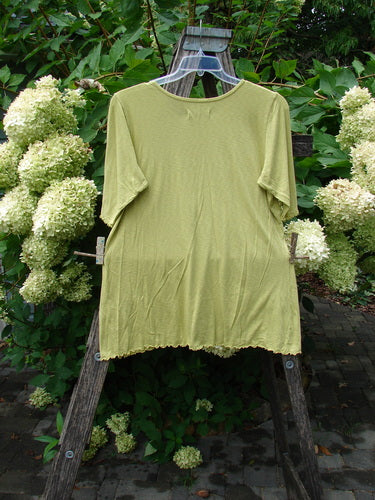Barclay NWT Modal Slub Simple Tee Frenchtown Sun Gal Citron Size 1, light green, short-sleeved, hangs on a wooden ladder, showcasing its rounded neckline and slight A-line flare against a lush garden backdrop.