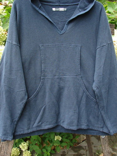 Barclay Cotton Hemp Hip To Be Square Hoodie Rear Botanicals Black OSFA features a cozy fleece with a hood, kangaroo pocket, and unique rear botanical designs, embodying Bluefishfinder.com's vintage style.