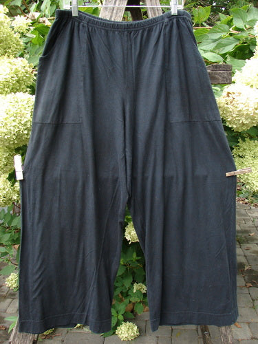 Barclay Basic Pocket Flare Pant Unpainted True Black Size 2: Loose-fitting, wide-leg, black cropped trousers with deep pockets and elastic waist, hanging on a clothesline, showcasing Bluefishfinder.com's vintage-inspired style.