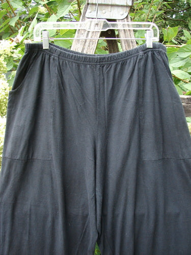 Barclay Basic Pocket Flare Pant Unpainted True Black Size 2, featuring an elastic waistband, wide lowers, and deep side pockets, hanging outdoors, capturing its loose, comfortable fit in organic cotton.
