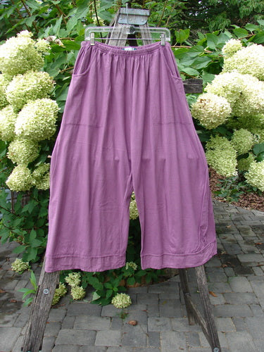 Barclay Basic Pocket Flutter Flare Pant Unpainted Magenta Size 2, displayed on a wooden stepladder, showcases wide legs and a soft fabric, embodying Bluefishfinder.com's vintage, creative style.