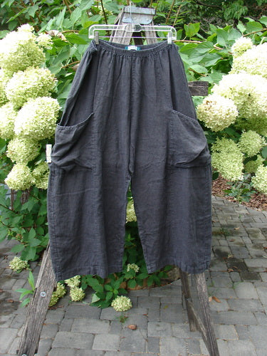 Barclay Linen Crop Two Pocket Pant Unpainted Black Size 2, featuring a loose fit with wide cropped legs, elastic waistband, and large side pockets, displayed outdoors against flowering shrubs and a wooden ladder.