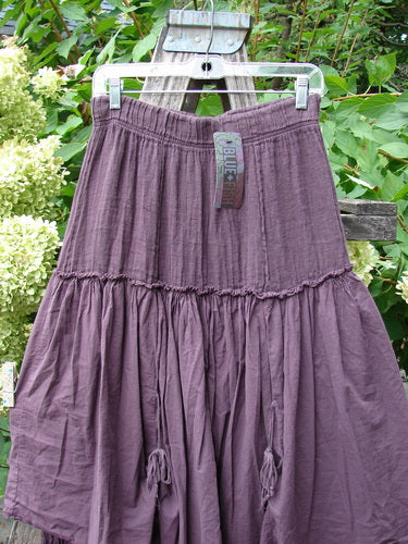 Barclay NWT Linen Batiste Fusion Pant Skirt Unpainted Fig Size 0 hangs showcasing its tiered, elasticized design with tassel ties, embodying Bluefishfinder.com's vintage, expressive style.