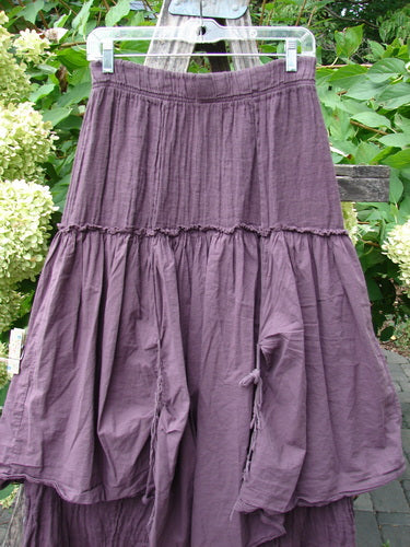 Barclay NWT Linen Batiste Fusion Pant Skirt Unpainted Fig Size 0, showcasing a bohemian-style tiered skirt with tie accents, layered over tapered pants, hanging against green shrubbery.