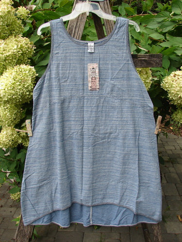 Barclay NWT Light Weight Chambray Shift Stripe Denim Light Size 0 hangs outdoors, showcasing its loose, apron-like silhouette with empire waist seam, scoop neckline, and subtly striped fabric, embodying BlueFishFinder's vintage charm.
